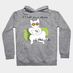 If i hurt you in anyway i don't care Hoodie